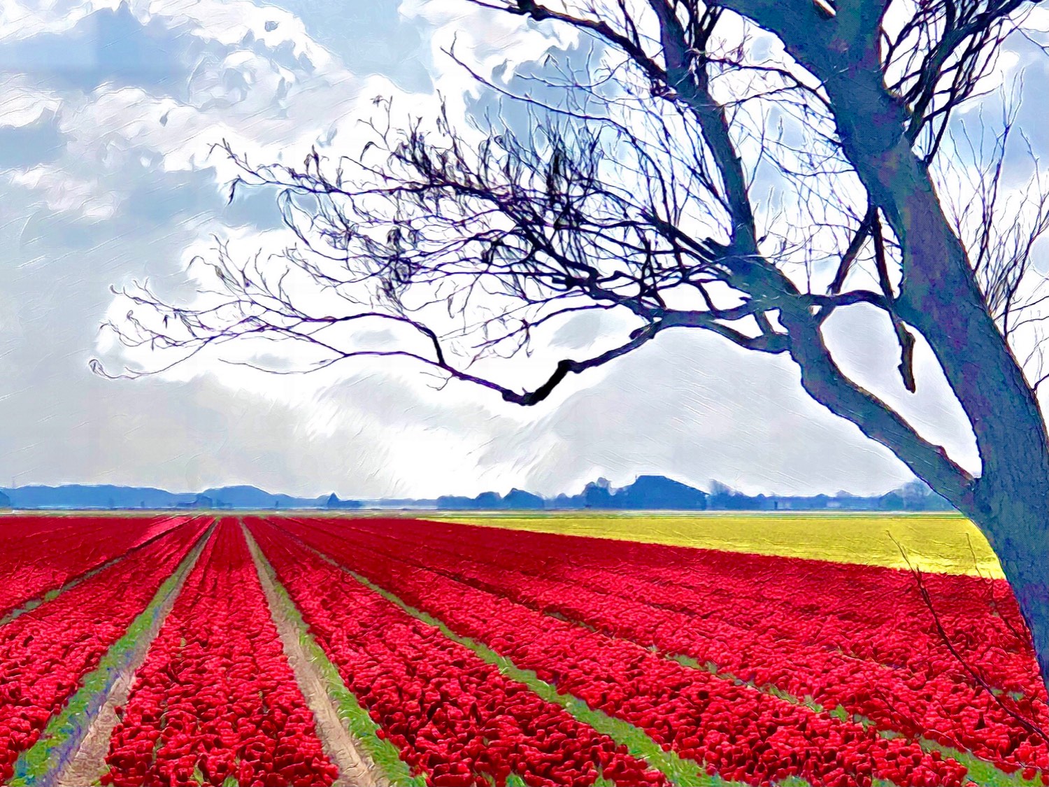 Solve Mooi rood is niet lelijk! jigsaw puzzle online with 63 pieces