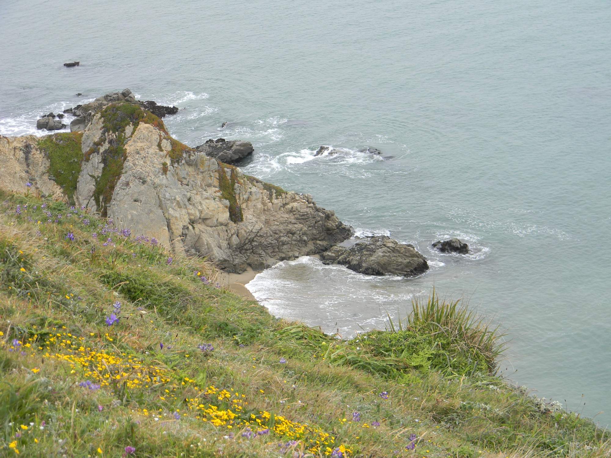 Solve California coast jigsaw puzzle online with 221 pieces