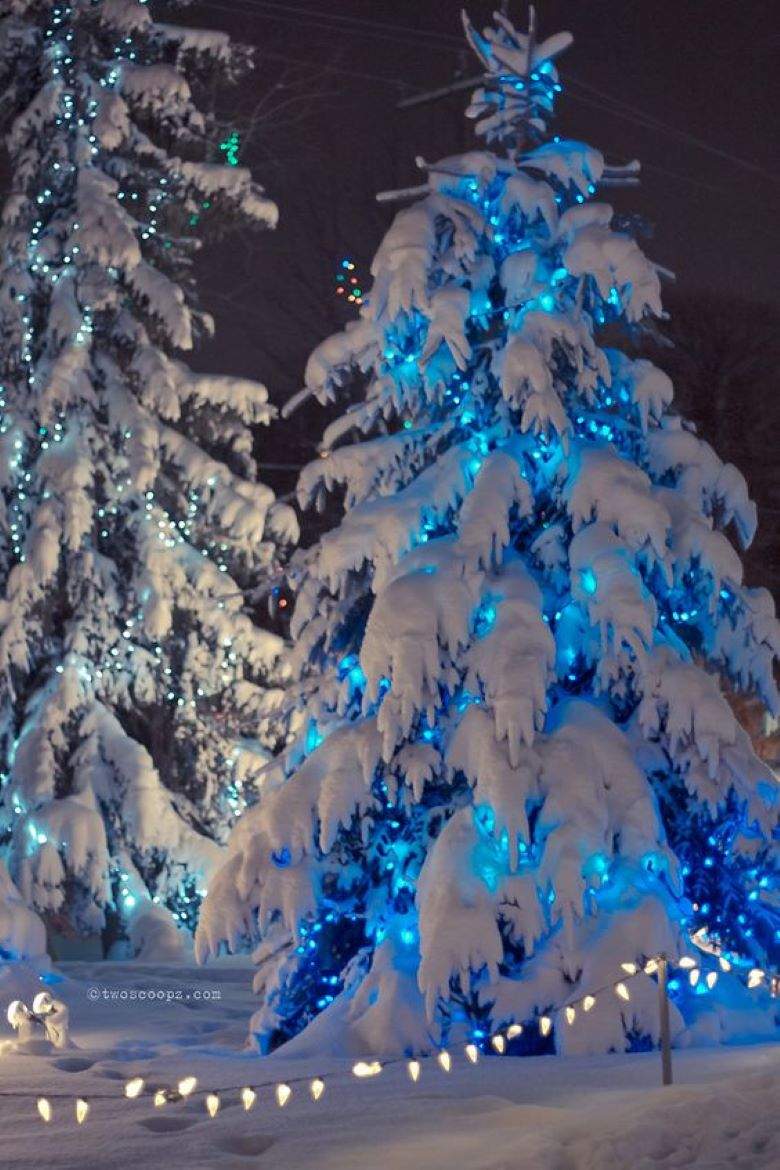 Solve Blue Ice Christmas Tree jigsaw puzzle online with 150 pieces
