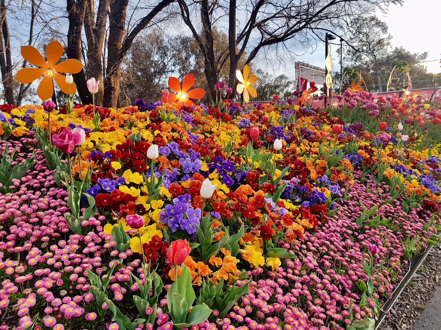 Solve Floriade 2019, Canberra, Australia jigsaw puzzle online with 80