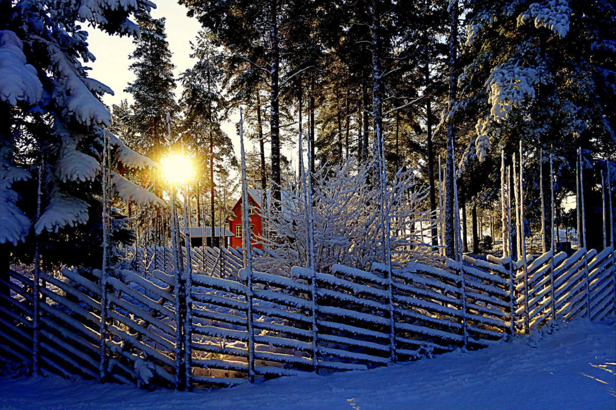 Solve Arnön jigsaw puzzle online with 54 pieces