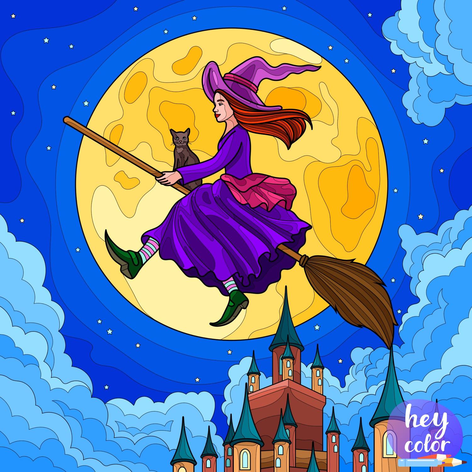 Solve Riding the Broom jigsaw puzzle online with 256 pieces