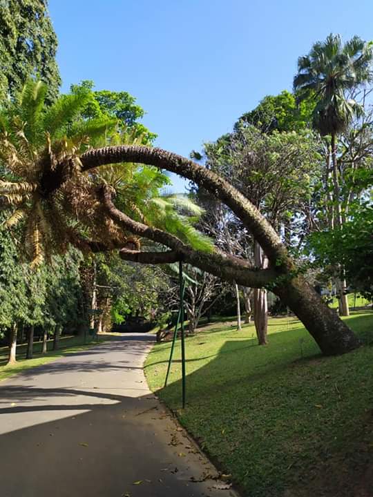 Solve Sri Lanka jigsaw puzzle online with 30 pieces