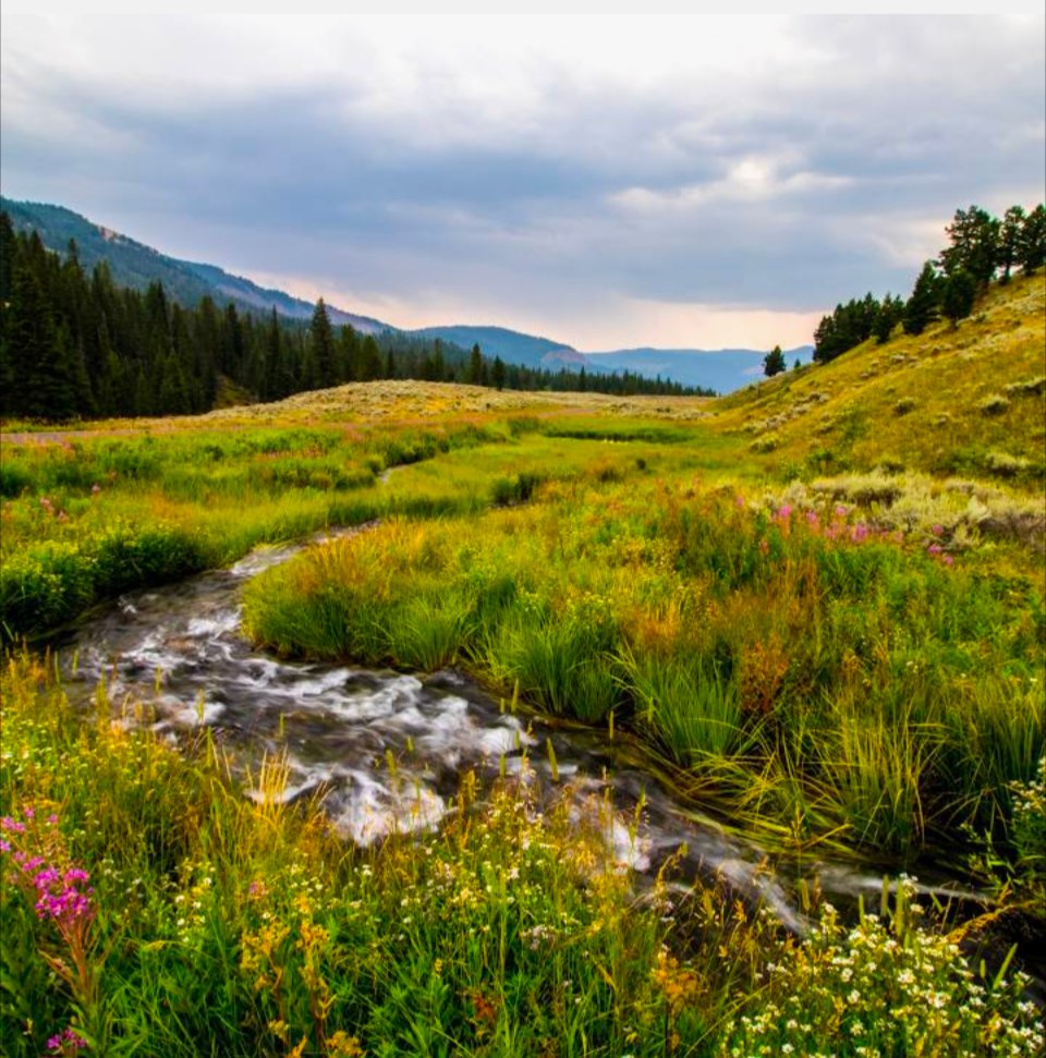 Butiful Stream Solve Beautiful stream landscape scenery jigsaw puzzle online with 49 ...