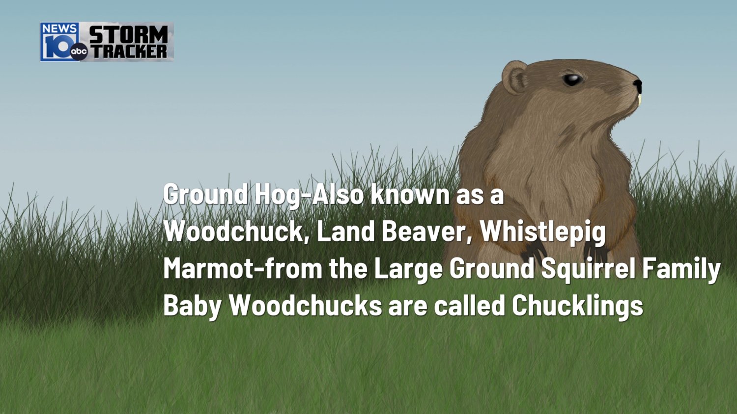 Solve babies are called jigsaw puzzle online with 18 pieces