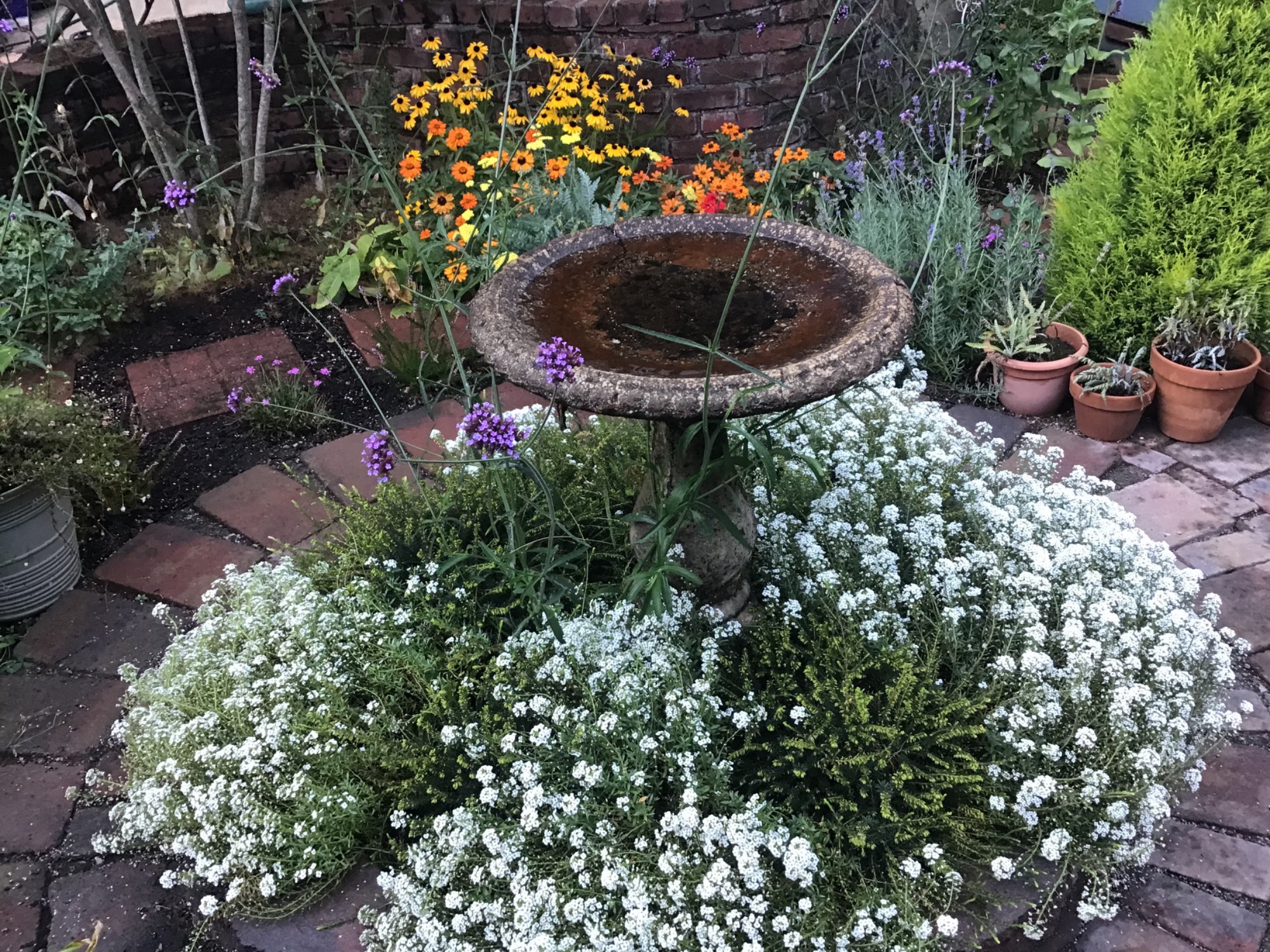 Solve Dragonfly Crossing Birdbath jigsaw puzzle online with 336 pieces