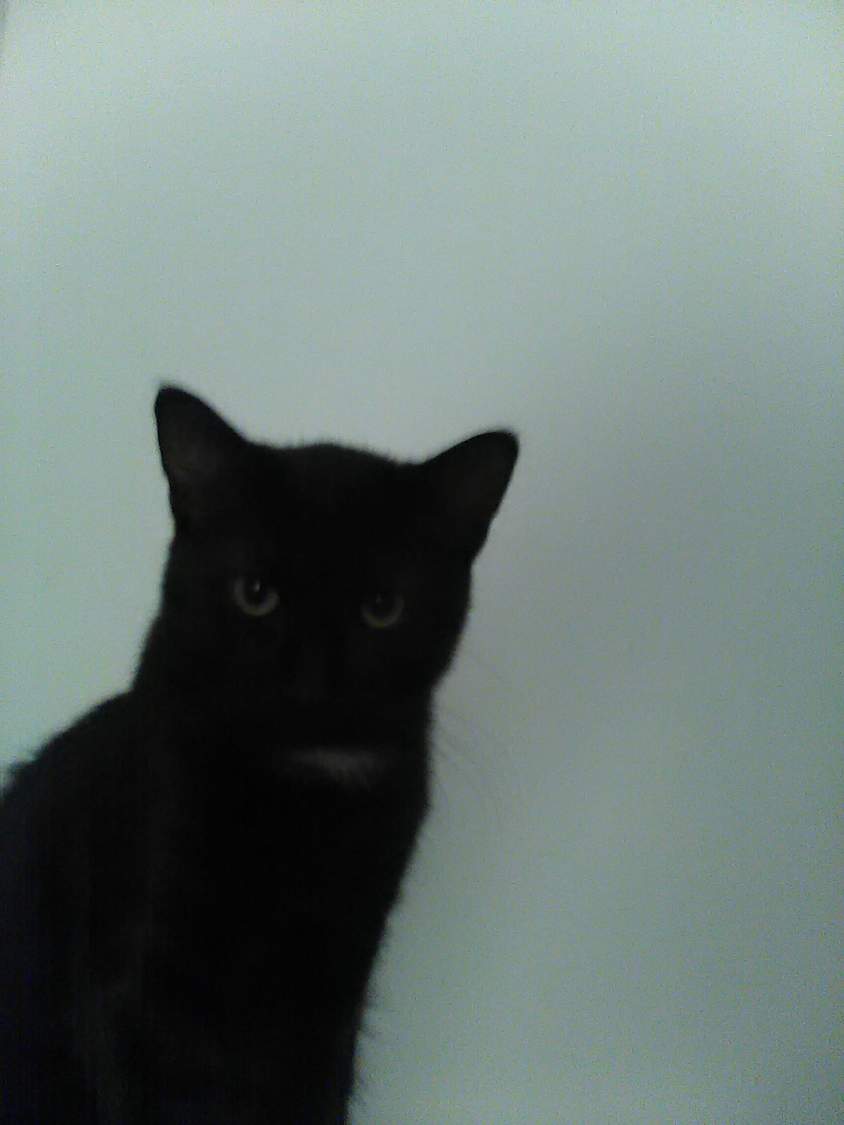 Solve my alarm clock jigsaw puzzle online with 30 pieces