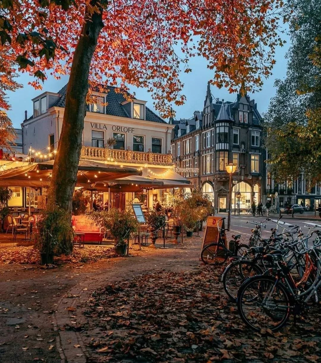 Solve 📍 Utrecht, Netherlands 🇳🇱🍁🍂 jigsaw puzzle online with 304 pieces