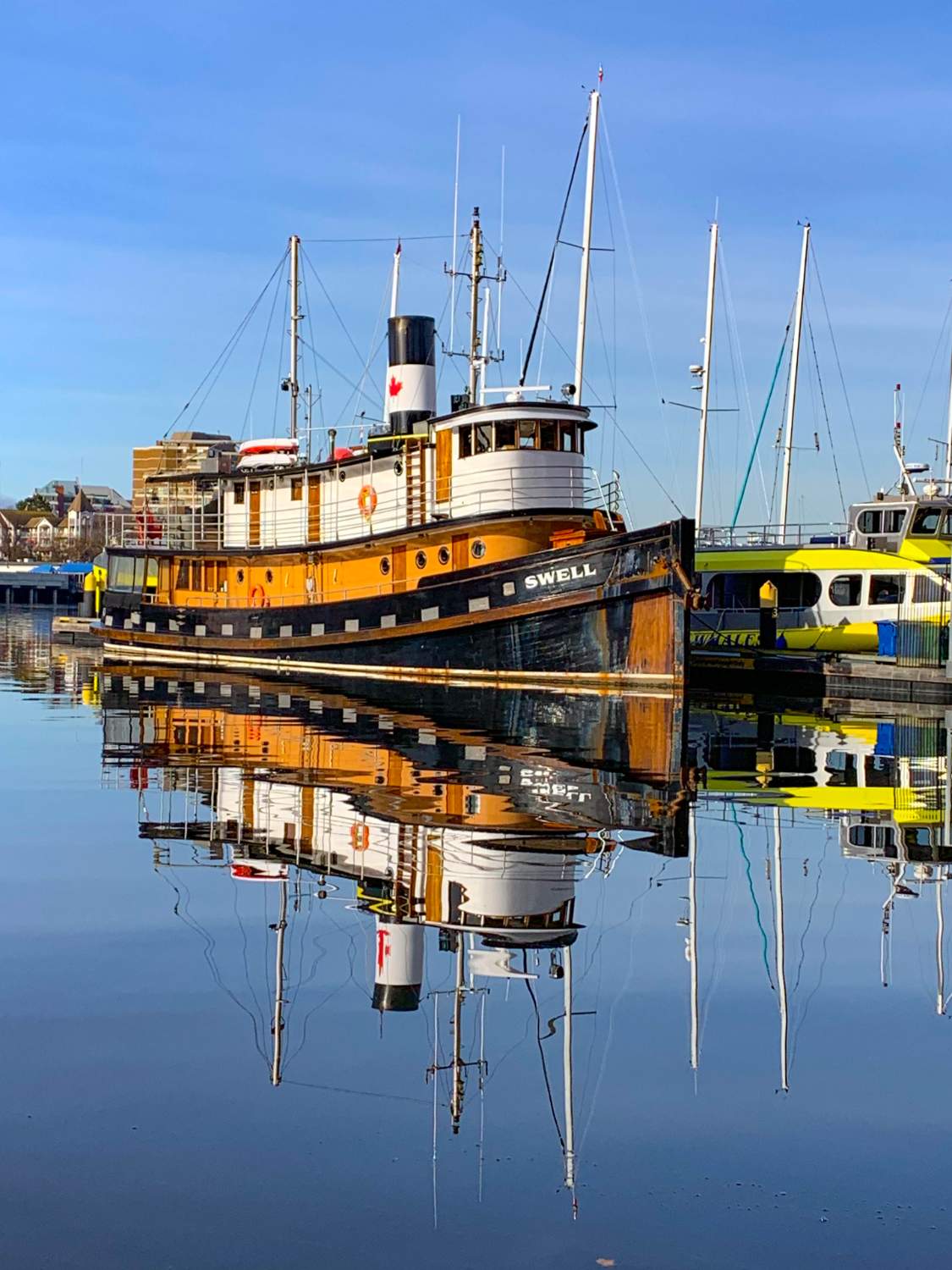 Solve The MV Swell tour boat in the Victoria BC Harbour jigsaw puzzle