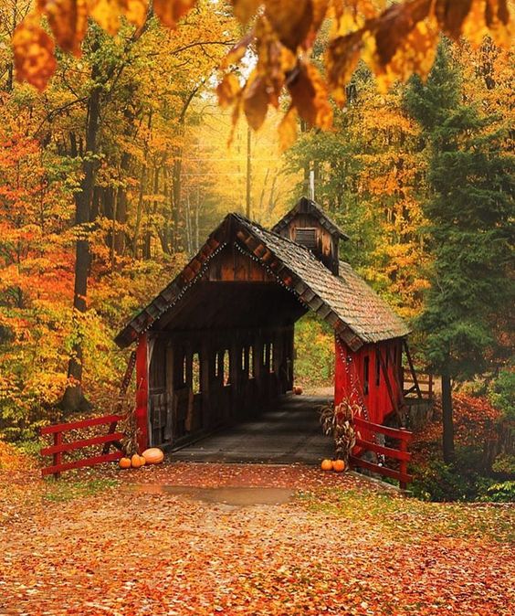 Solve Fall Foliage and Covered Bridge jigsaw puzzle online with 72 pieces
