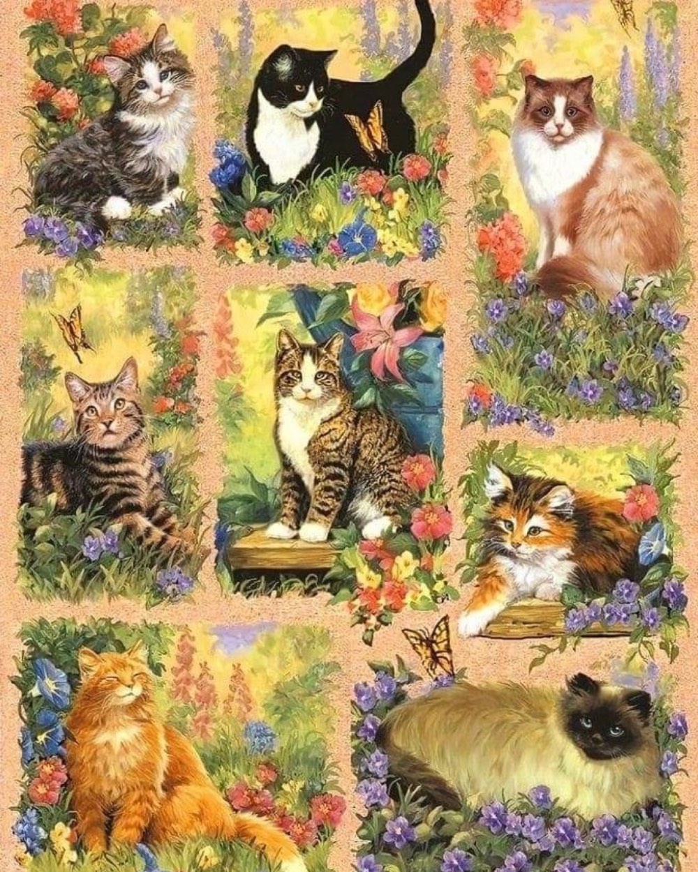 Solve Cat Grid jigsaw puzzle online with 80 pieces