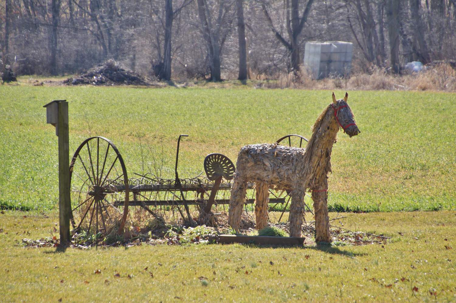 Solve Straw horse jigsaw puzzle online with 77 pieces