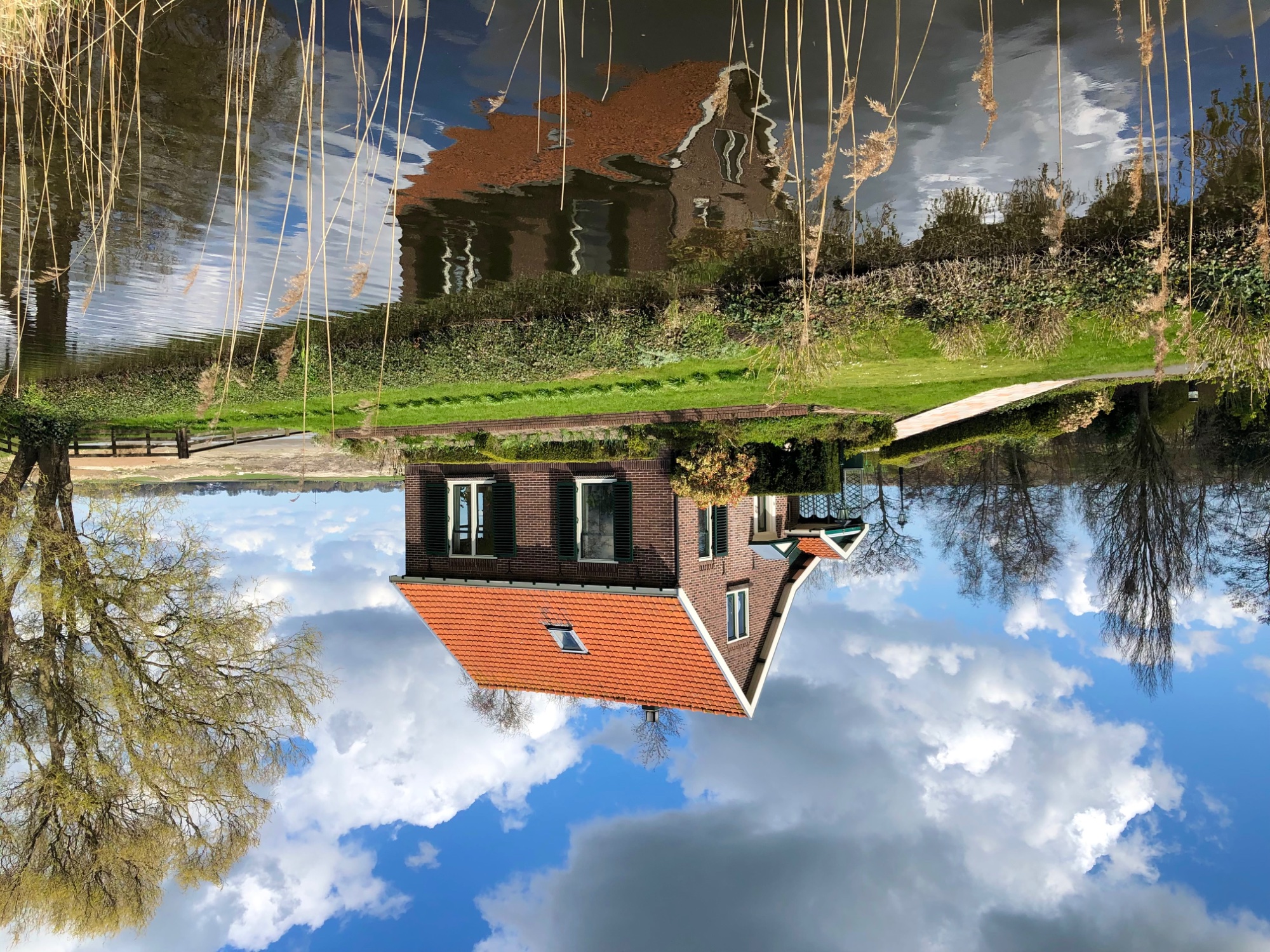 Solve Upside down 🙃😎 jigsaw puzzle online with 80 pieces