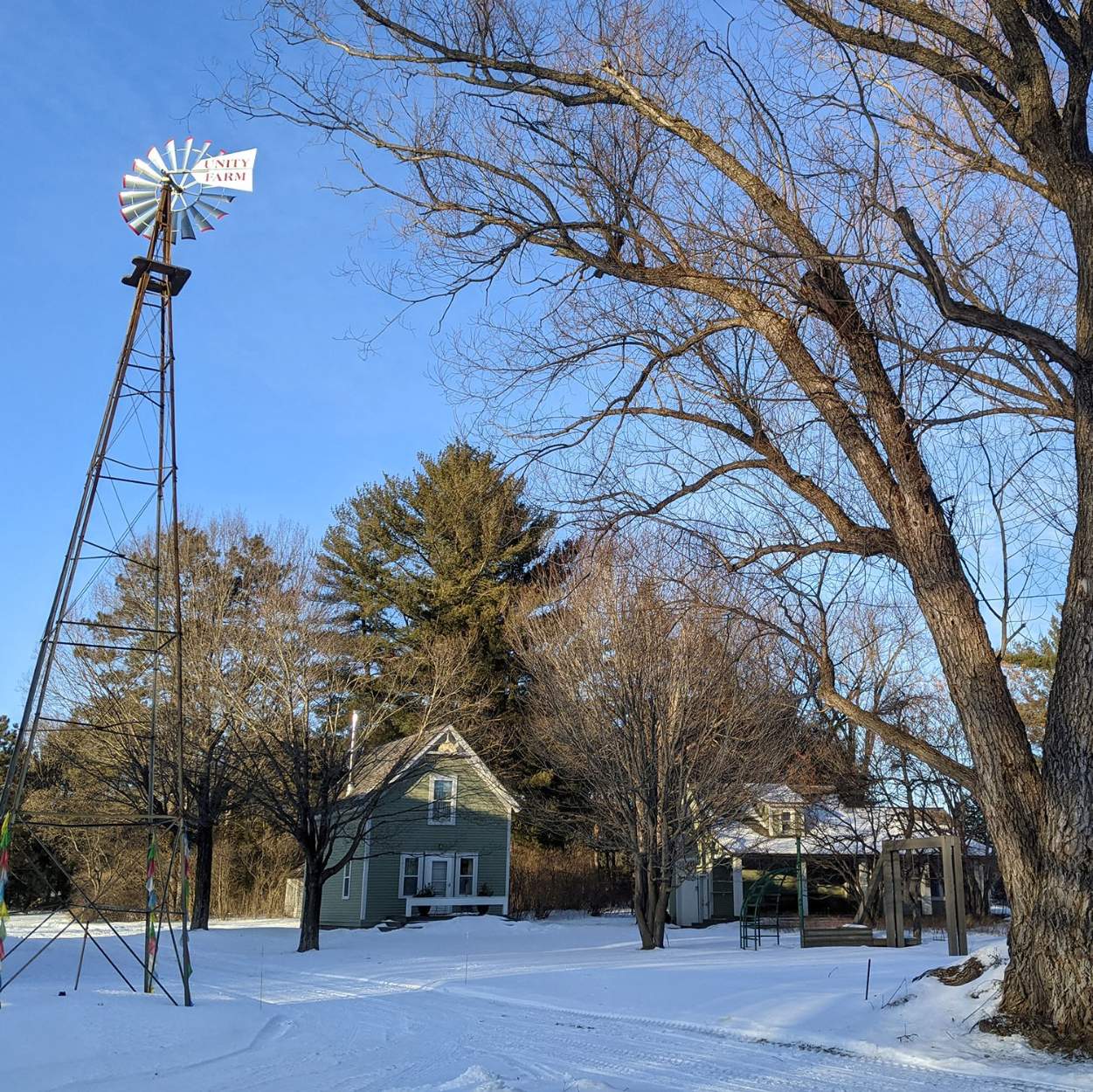 Solve Unity Farm jigsaw puzzle online with 100 pieces