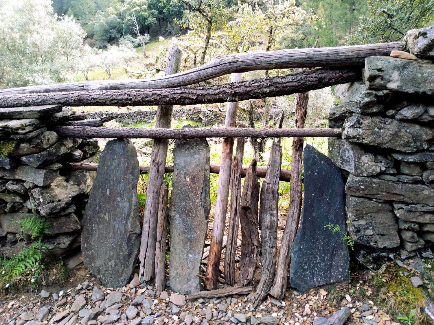 Solve Rustic gate jigsaw puzzle online with 108 pieces