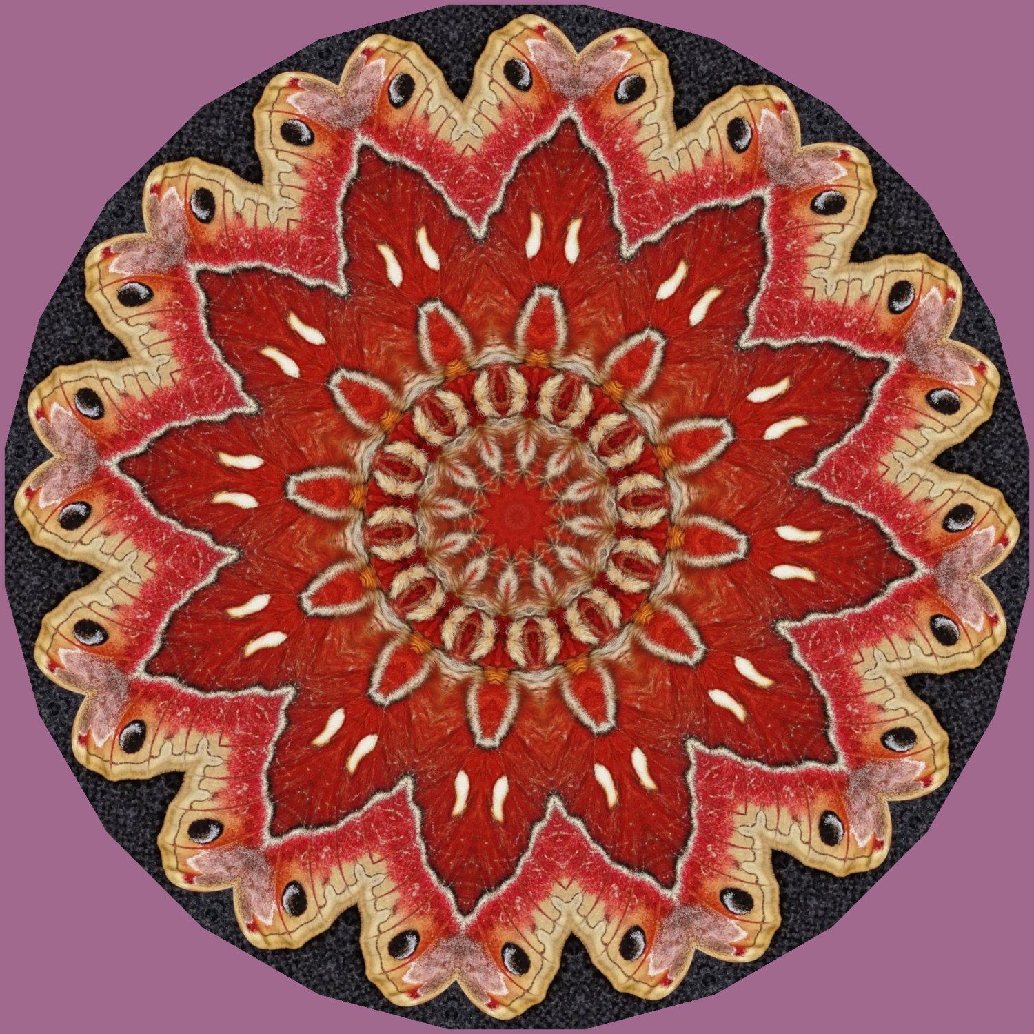 Solve 2 Small Jigsaw Puzzle Online With 64 Pieces solve-2-small-jigsaw-puzzle-online-with-64-pieces