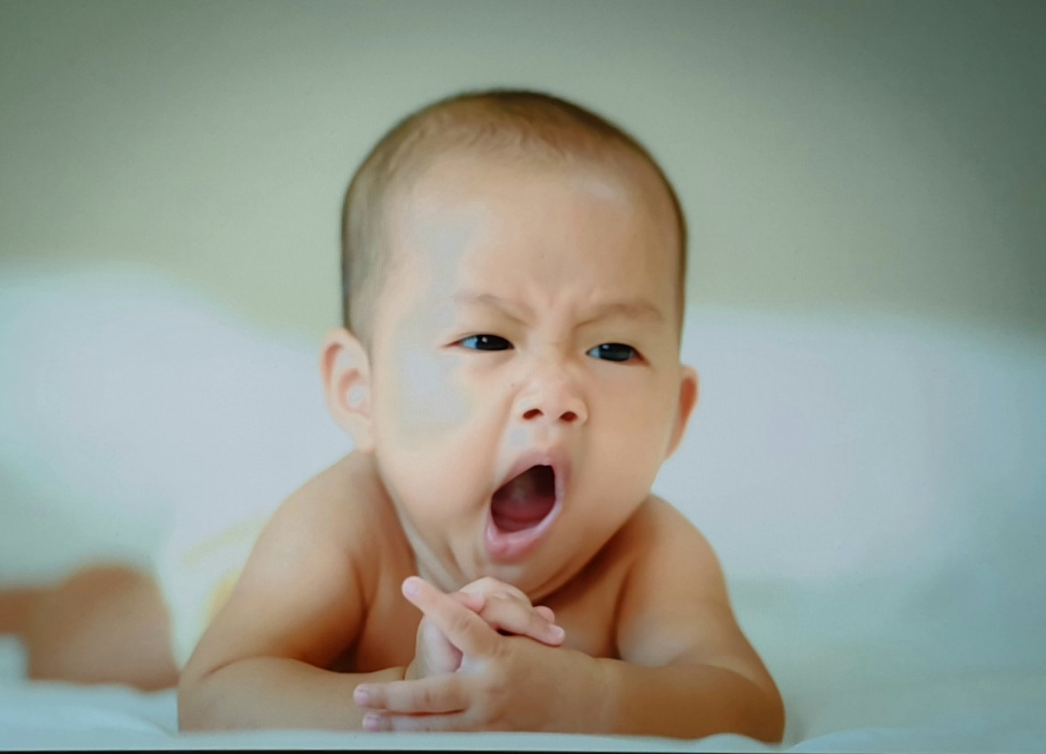 Solve COPYCAT YAWNING ECHOPHENOMENA jigsaw puzzle online with 24 pieces