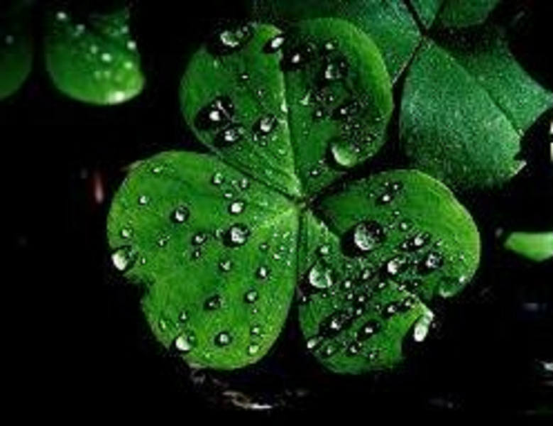 Solve Happy St Patrick's Day Jiggers jigsaw puzzle online with 12 pieces