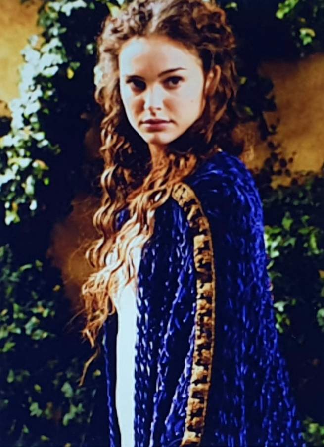 Jigsaw Robe Scene Solve NABOO GOWN WITH ROBE jigsaw puzzle online with 35 pieces