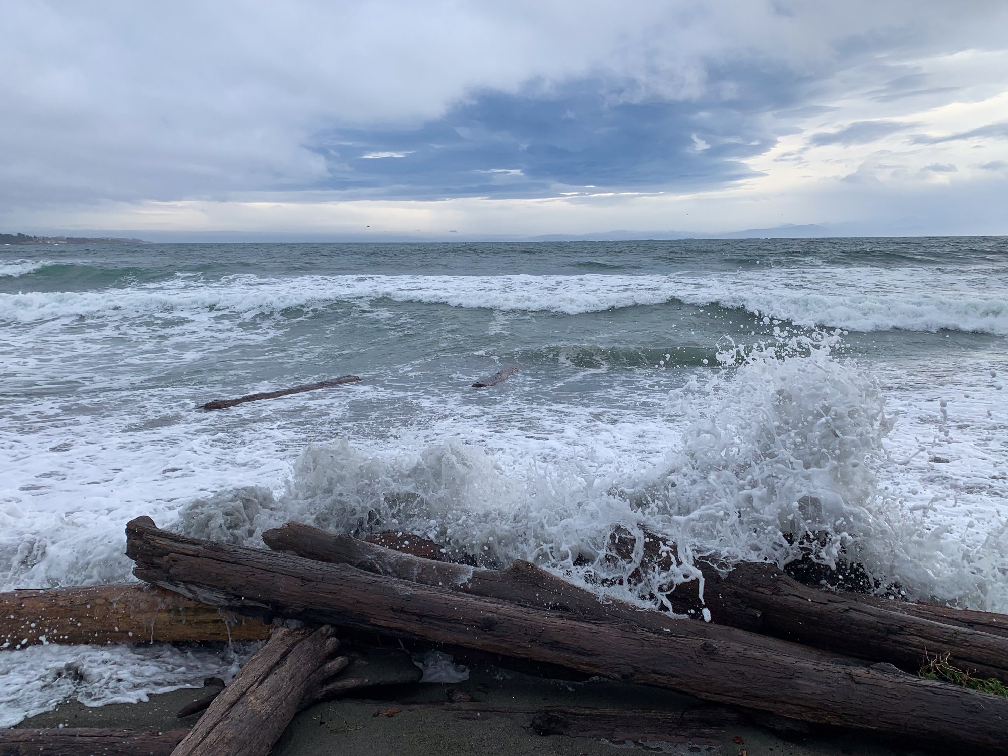 Solve Big waves at Esquimalt Lagoon on Christmas Day jigsaw puzzle online with 130 pieces