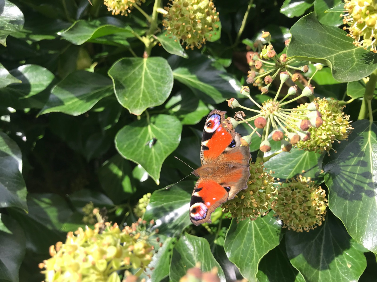 Solve In april jigsaw puzzle online with 48 pieces