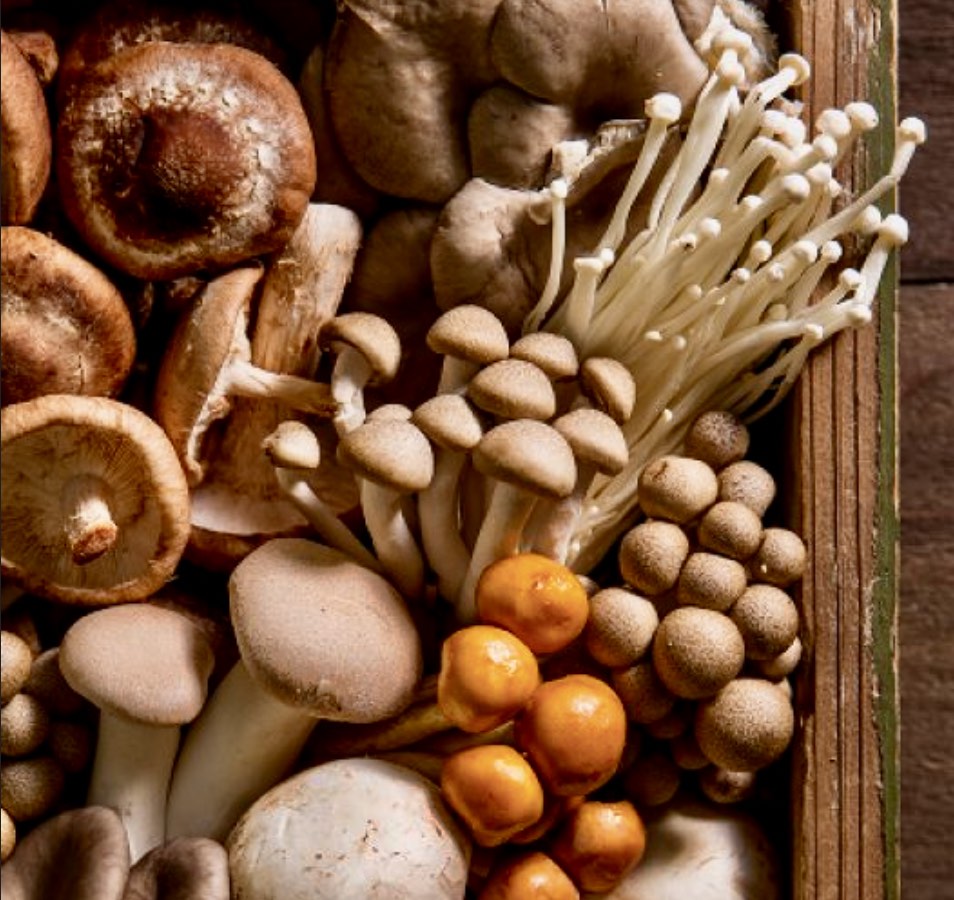 Solve 🍄 Fascinating Facts 🍄 jigsaw puzzle online with 72 pieces