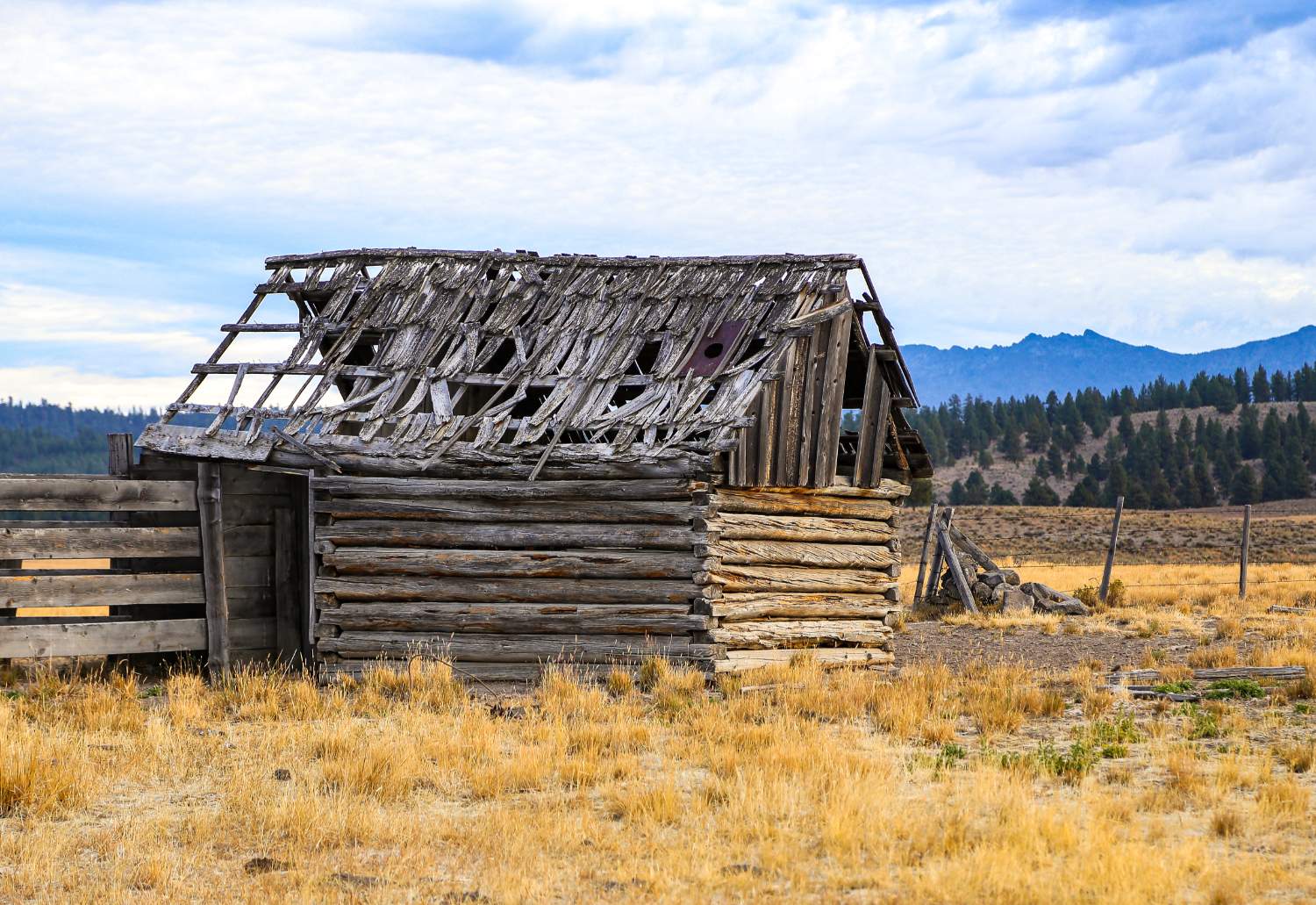 Solve "MY ROOF'S GOT A HOLE IN IT AND I MIGHT DROWN" jigsaw puzzle