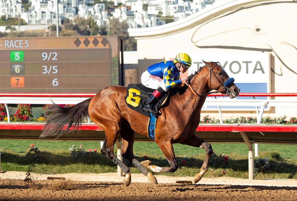 Solve Authentic wins the 2020 Kentucky Derby. jigsaw puzzle online with