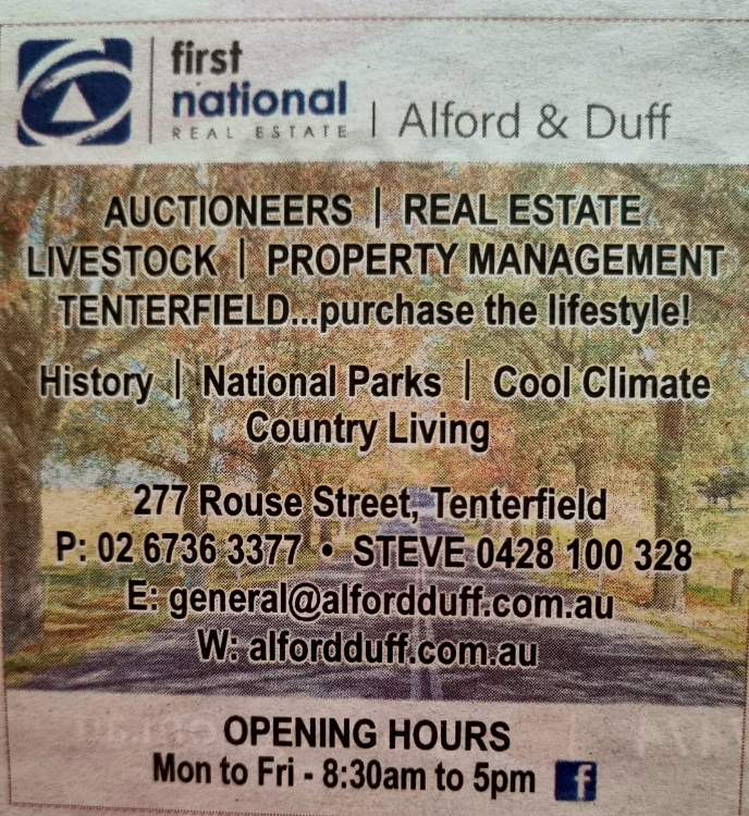 Solve Real Estate Agent jigsaw puzzle online with 9 pieces