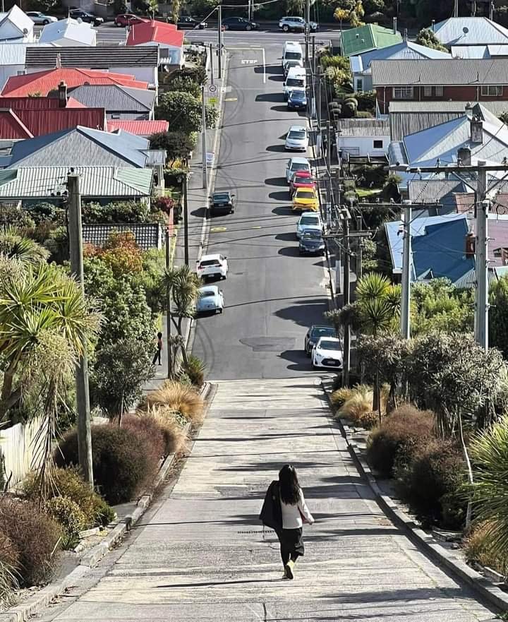 Solve Baldwin street, Dunedin jigsaw puzzle online with 30 pieces