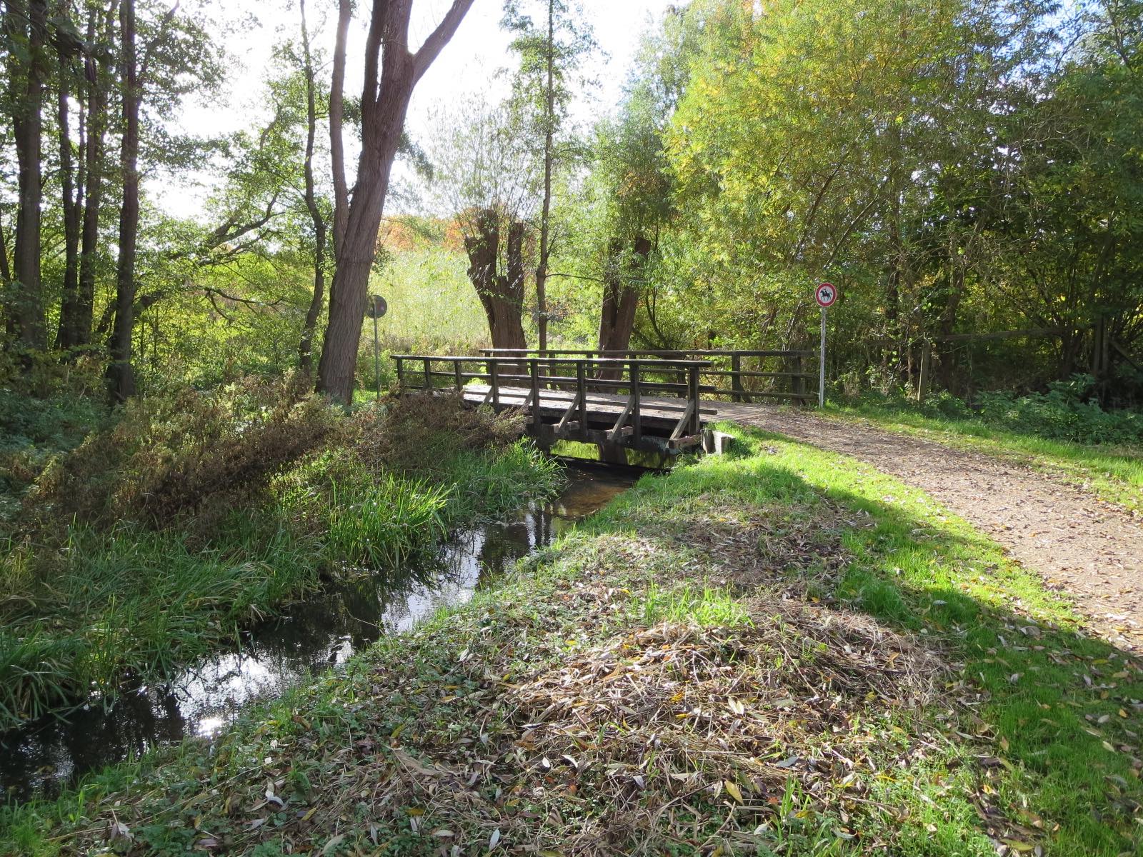  Solve Spaziergang in der Natur jigsaw puzzle online with 130 pieces Illustration 