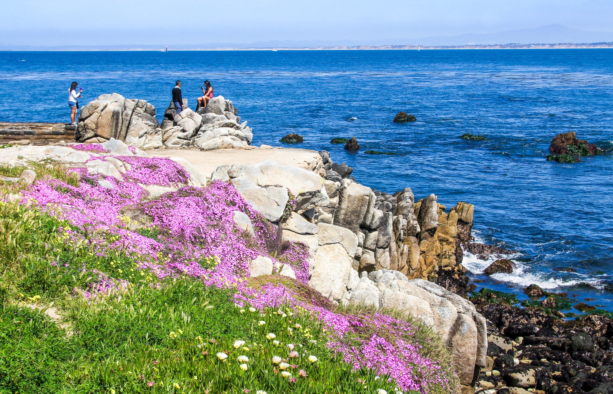 Solve CALIFORNIA COAST jigsaw puzzle online with 96 pieces