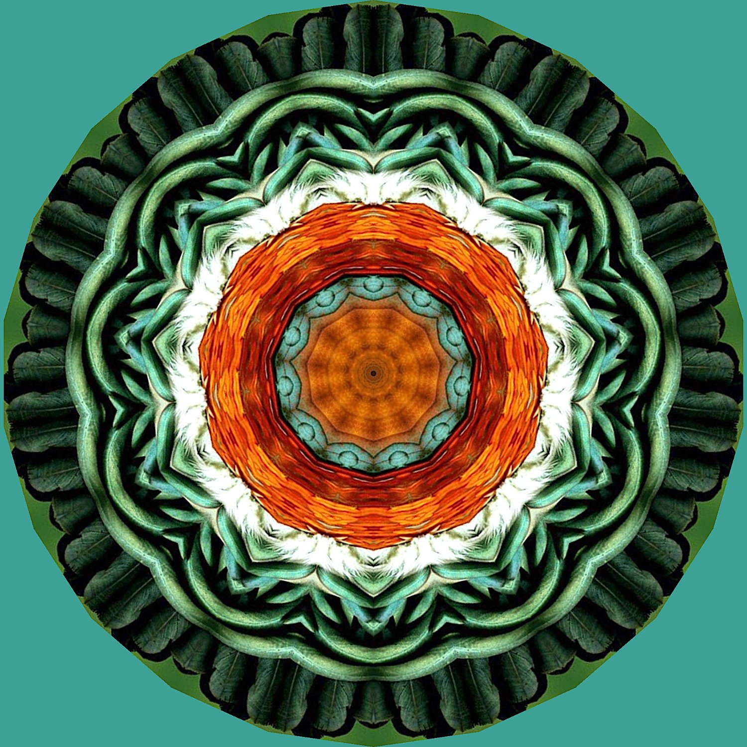 Solve #2 small jigsaw puzzle online with 64 pieces