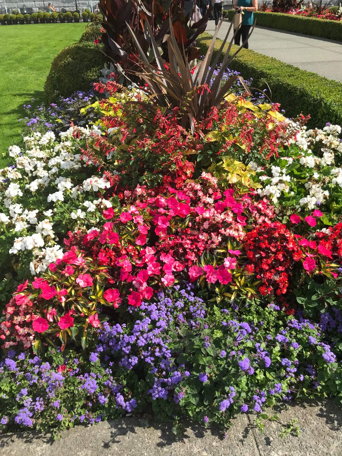Solve One of the many gardens at the Empress Hotel in Victoria BC