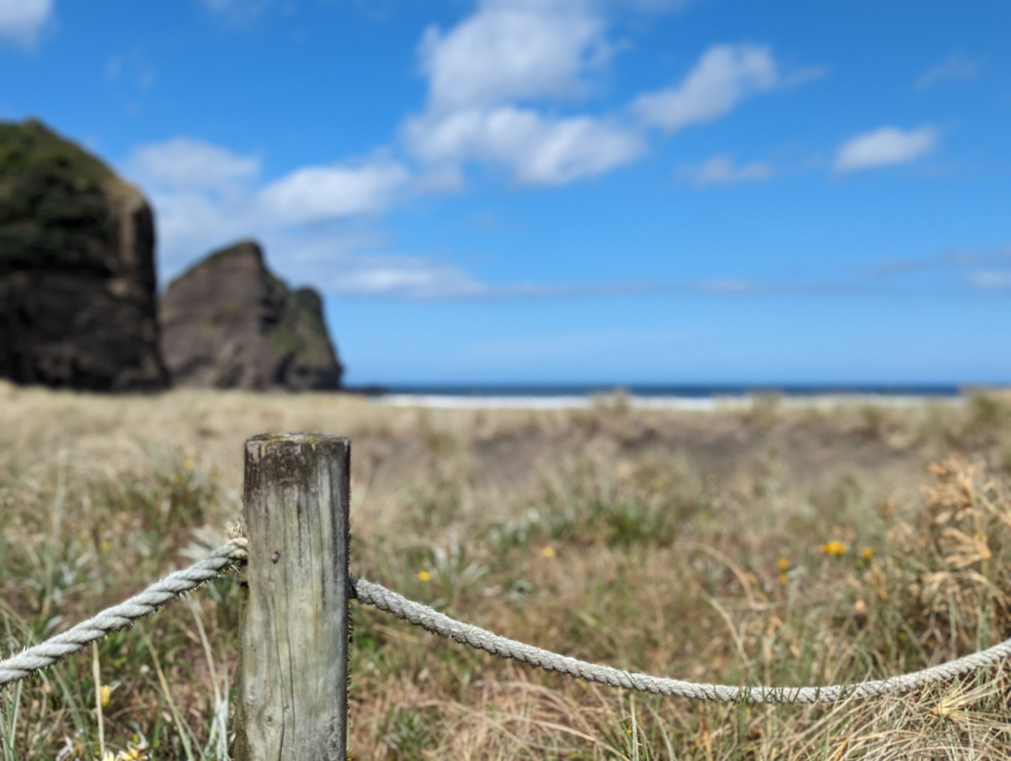 Solve Fence jigsaw puzzle online with 336 pieces