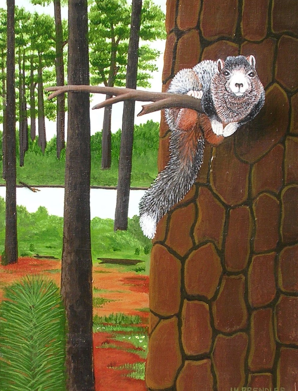 Solve Pawley's Island, South Carolina, Fox Squirrel. By J Brendler