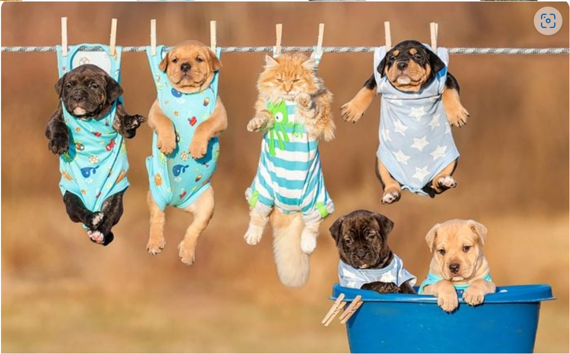 Solve If you just can't keep track of them, hang them out for a little