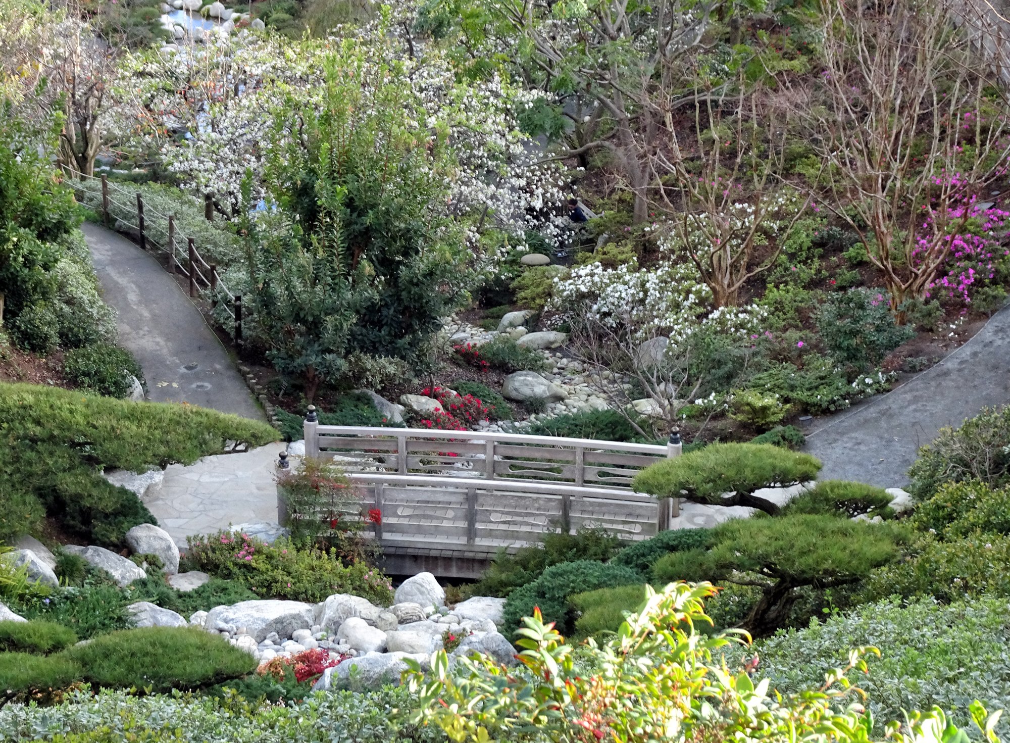 Solve Balboa Park Japanese Garden Ornamental Pear Trees Jigsaw 