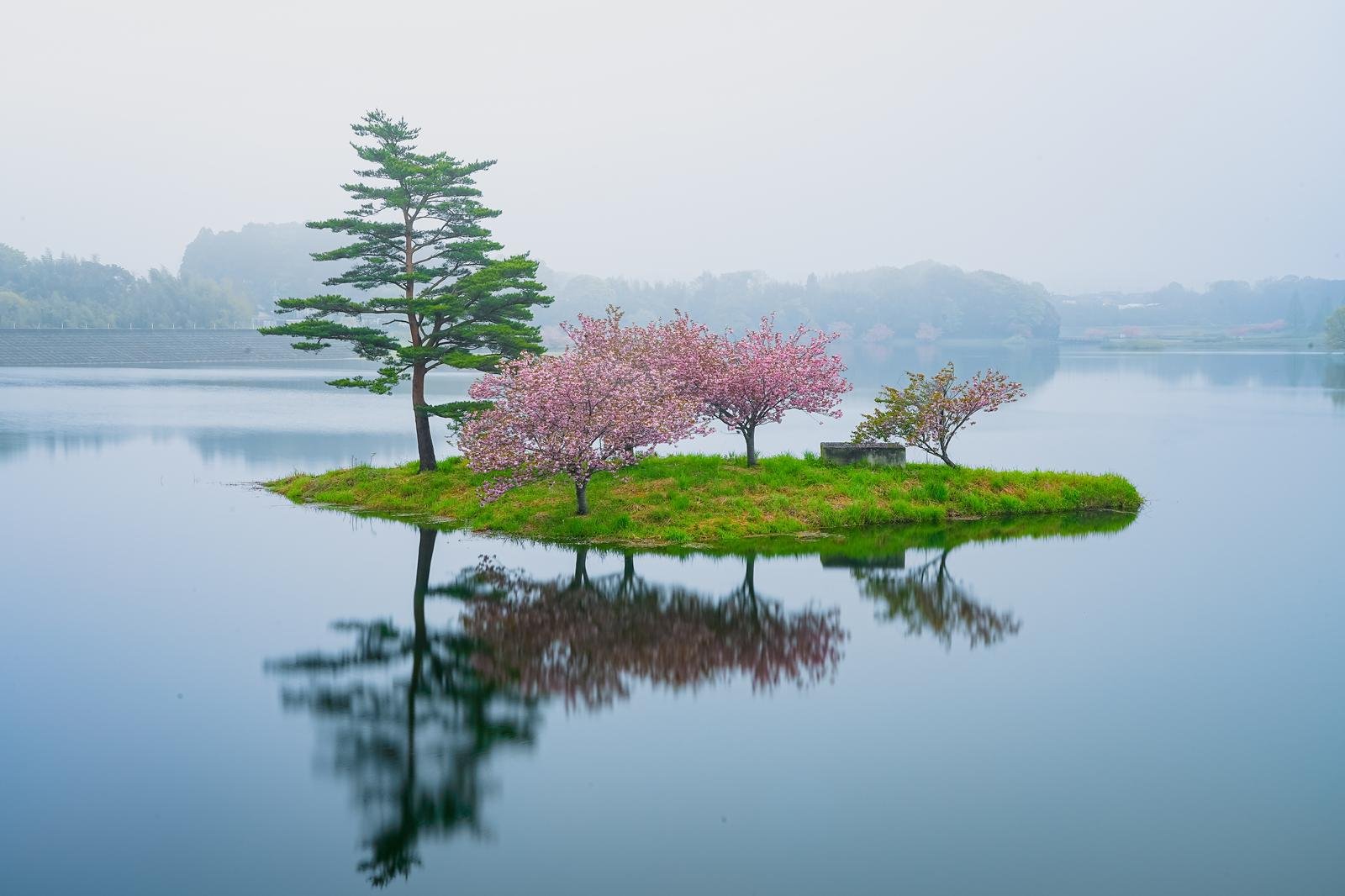 Solve Cherry blossoms on a small island jigsaw puzzle online with 126 ...