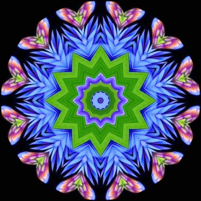Solve Colors of Chicory jigsaw puzzle online with 100 pieces