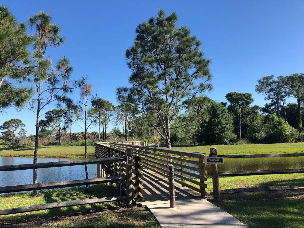 Solve North_Jupiter_Flatwoods_Natural_Area_19 jigsaw puzzle online with