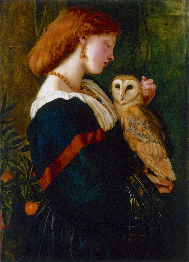 Solve The Owl (Il Barbagianni), Valentine Cameron Prinsep, by 1863