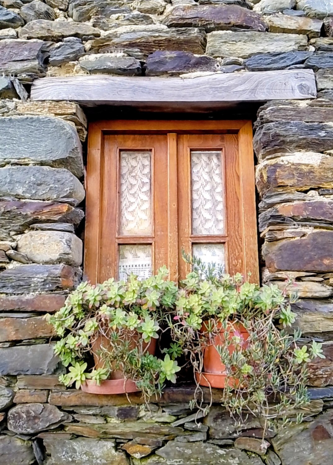 Solve Pretty window jigsaw puzzle online with 117 pieces