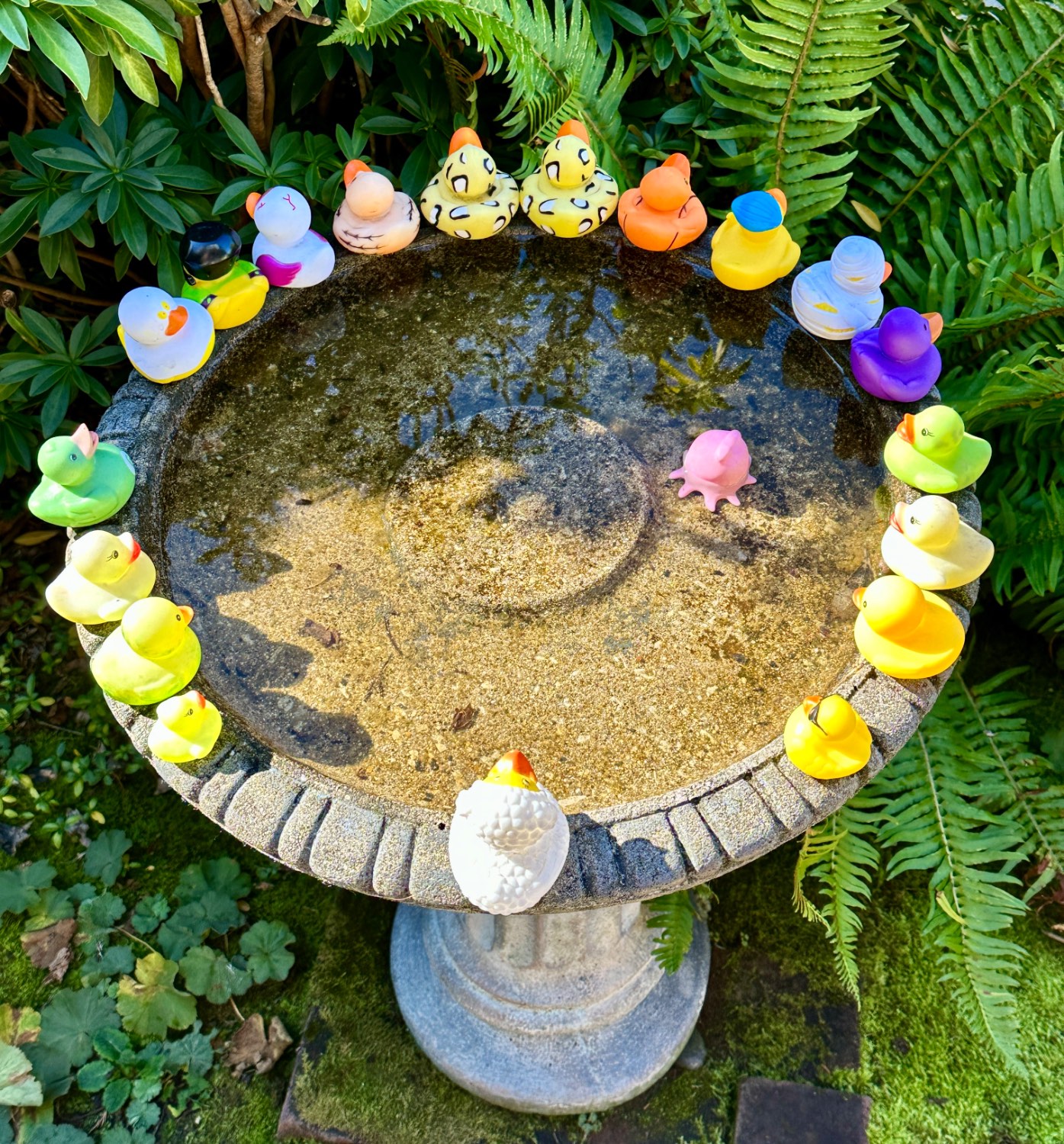 Solve Rubber Ducky birdbath jigsaw puzzle online with 72 pieces
