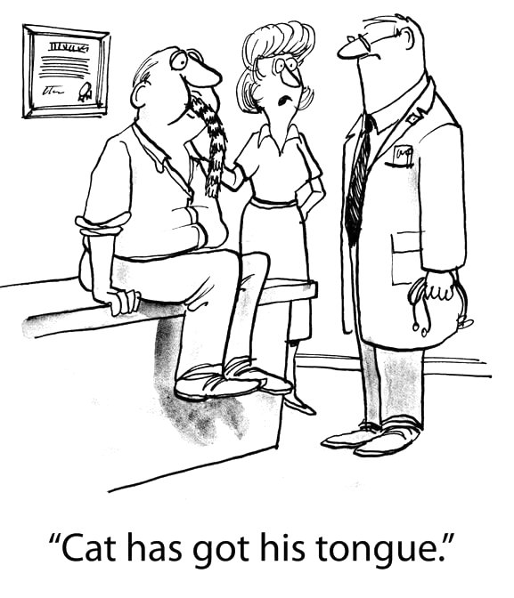 Solve CAT CONUNDRUMS 3 OF 4 jigsaw puzzle online with 9 pieces