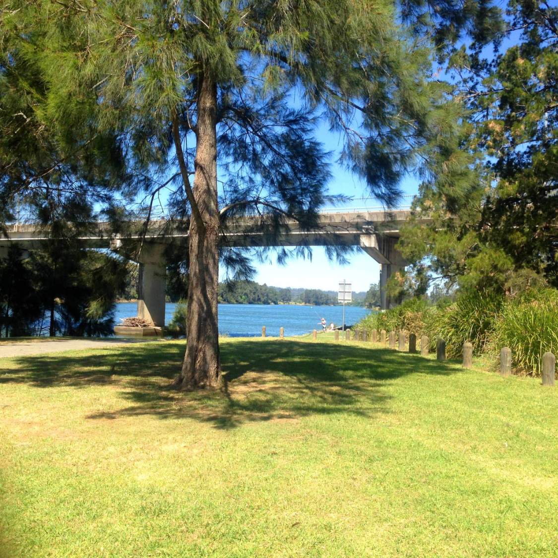 Solve Wauchope NSW Australia jigsaw puzzle online with 49 pieces