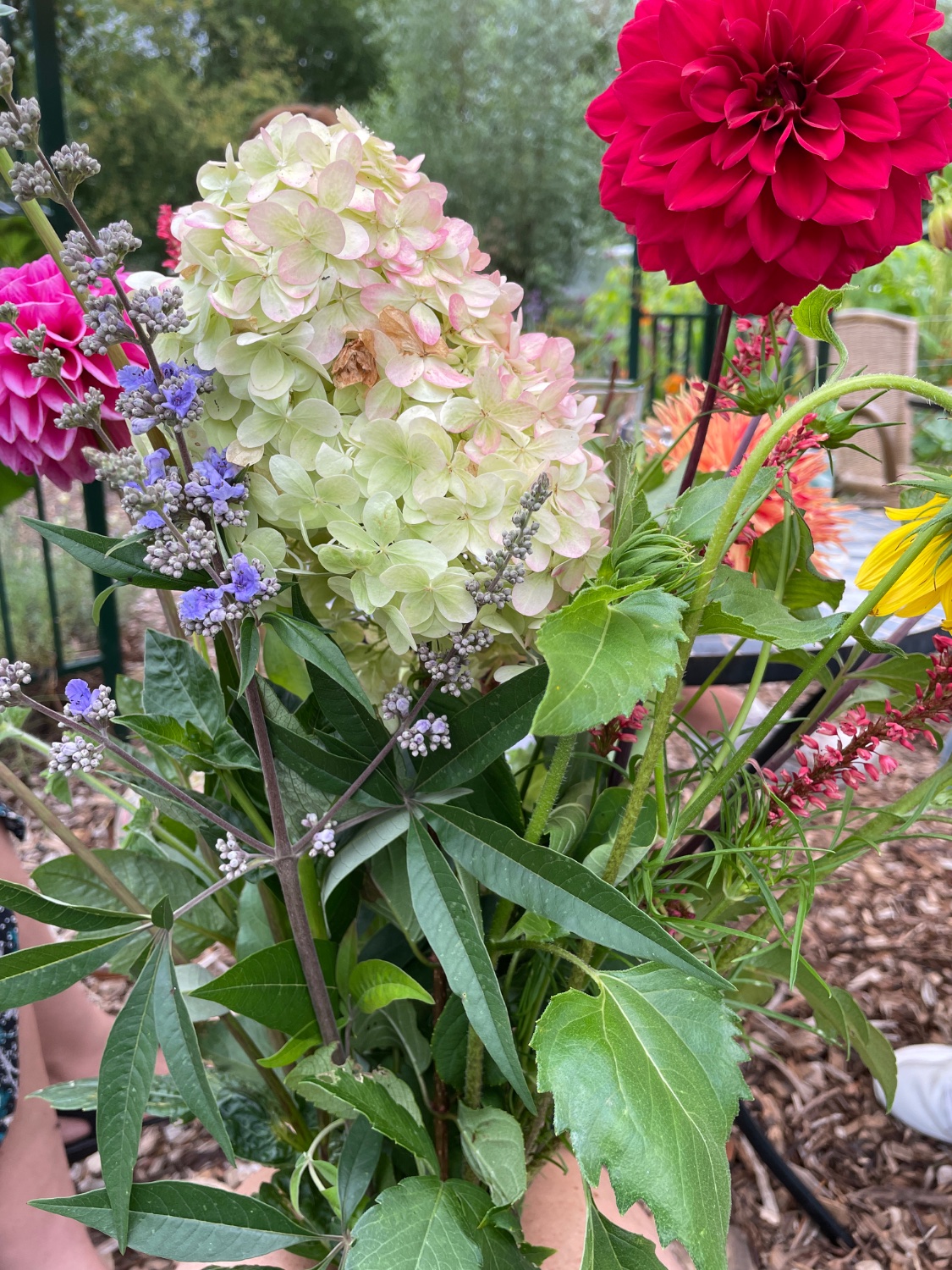 Solve Flower garden at the Magic Garden in Epe jigsaw puzzle online