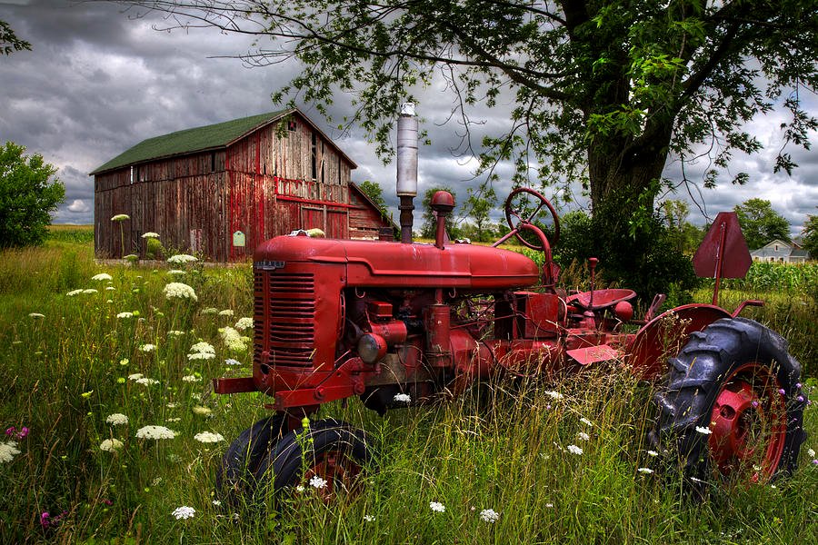 Solve Red tractor in the pasture jigsaw puzzle online with 96 pieces