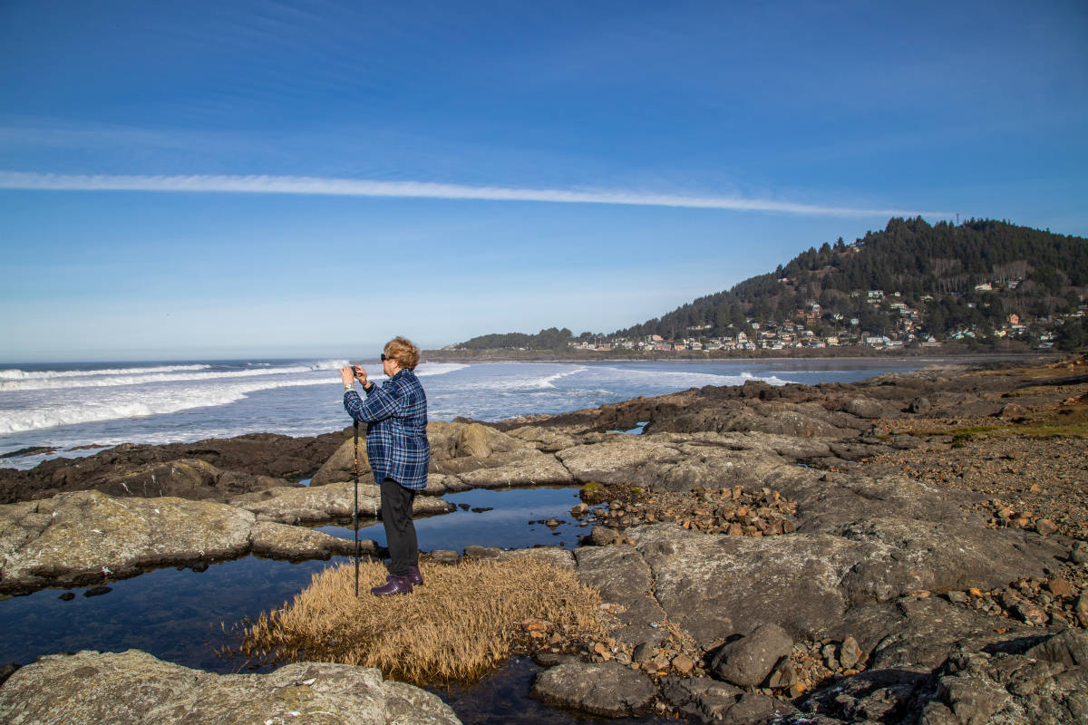 Solve NEAR YACHATS OREGON jigsaw puzzle online with 96 pieces