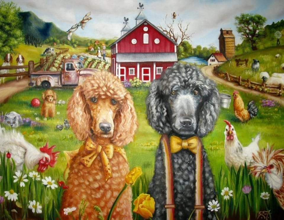 Solve Poodles jigsaw puzzle online with 80 pieces